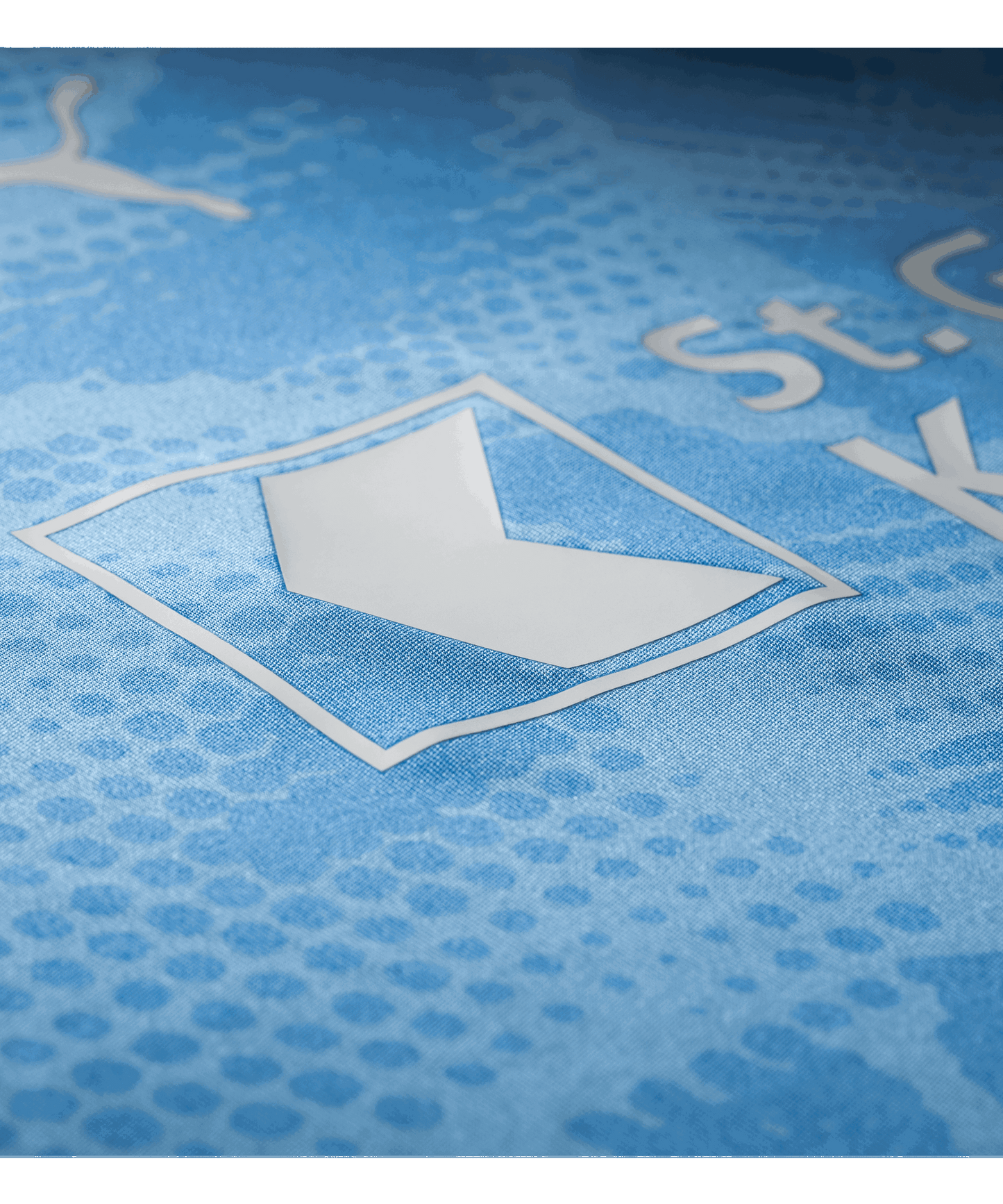 goalietrikot-heim-25/26---trikot