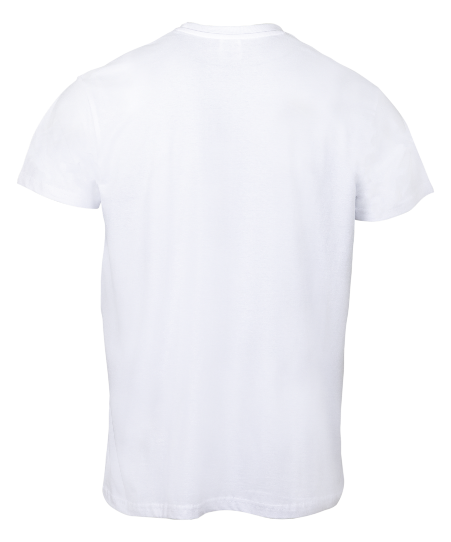 Veni Vidi Zigi Shirt