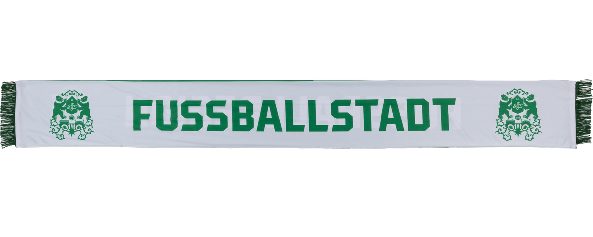 Polyschal Fussballregion
