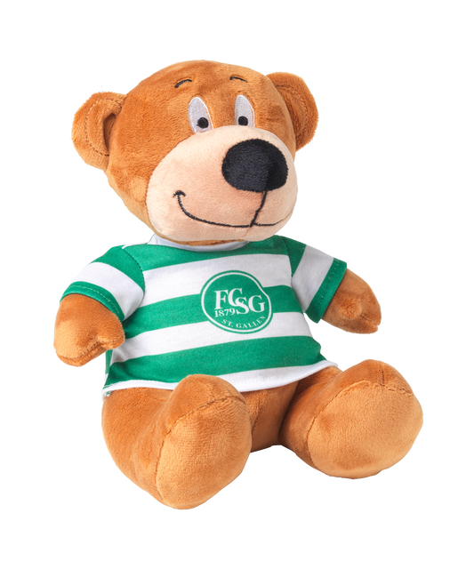 plüschbär-gallus-kinder